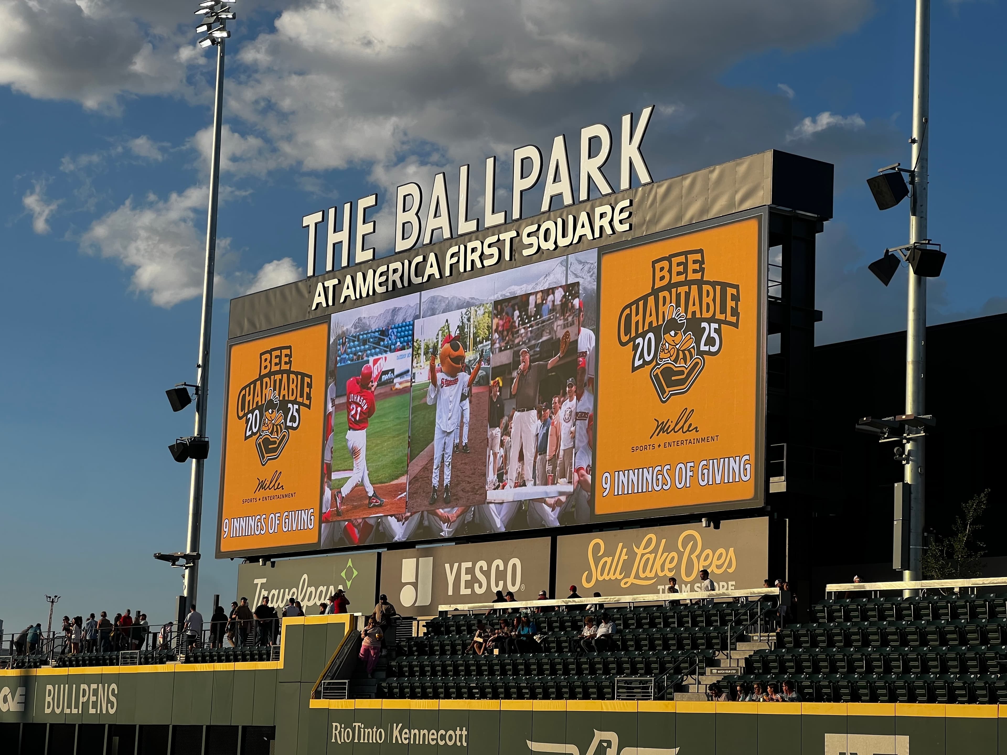 The Ball Park carousel panel