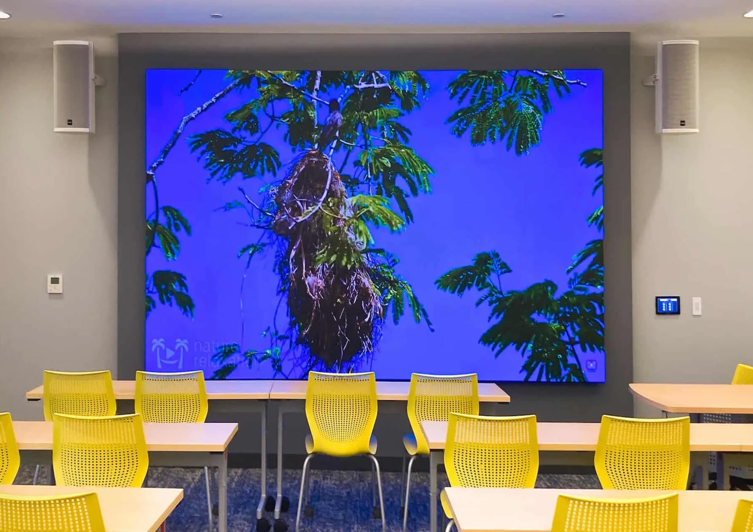Corporate Town Halls: Use LED Video Walls for Impactful All-Hands